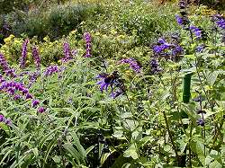gardenmuseum (4).jpg